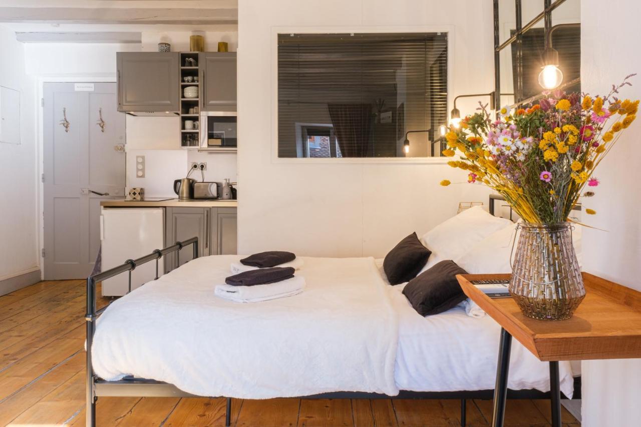 Au Grey D'Annecy, Studio Cosy Au Coeur De La Ville Kültér fotó